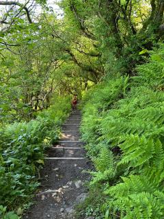 Heading towards Buck's Mills - six miles done and still looking for a lunch stop